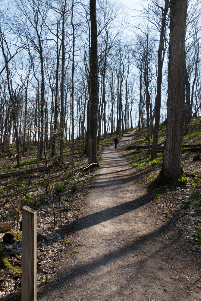 Hiking the Empire Bluff Trail at Sleeping Bear Dunes National Lakeshore 