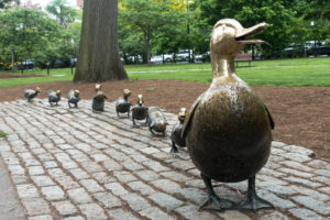 If you are looking for a scenic walk head to Boston Commons and the Public Garden on your trip. Make sure to see Make Way for the Duckies!