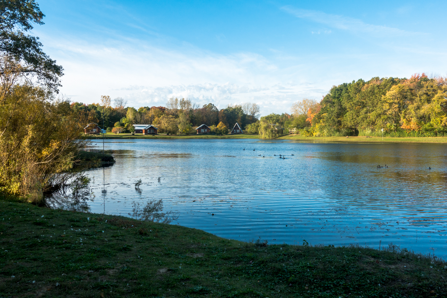 serenity springs saginaw michigan