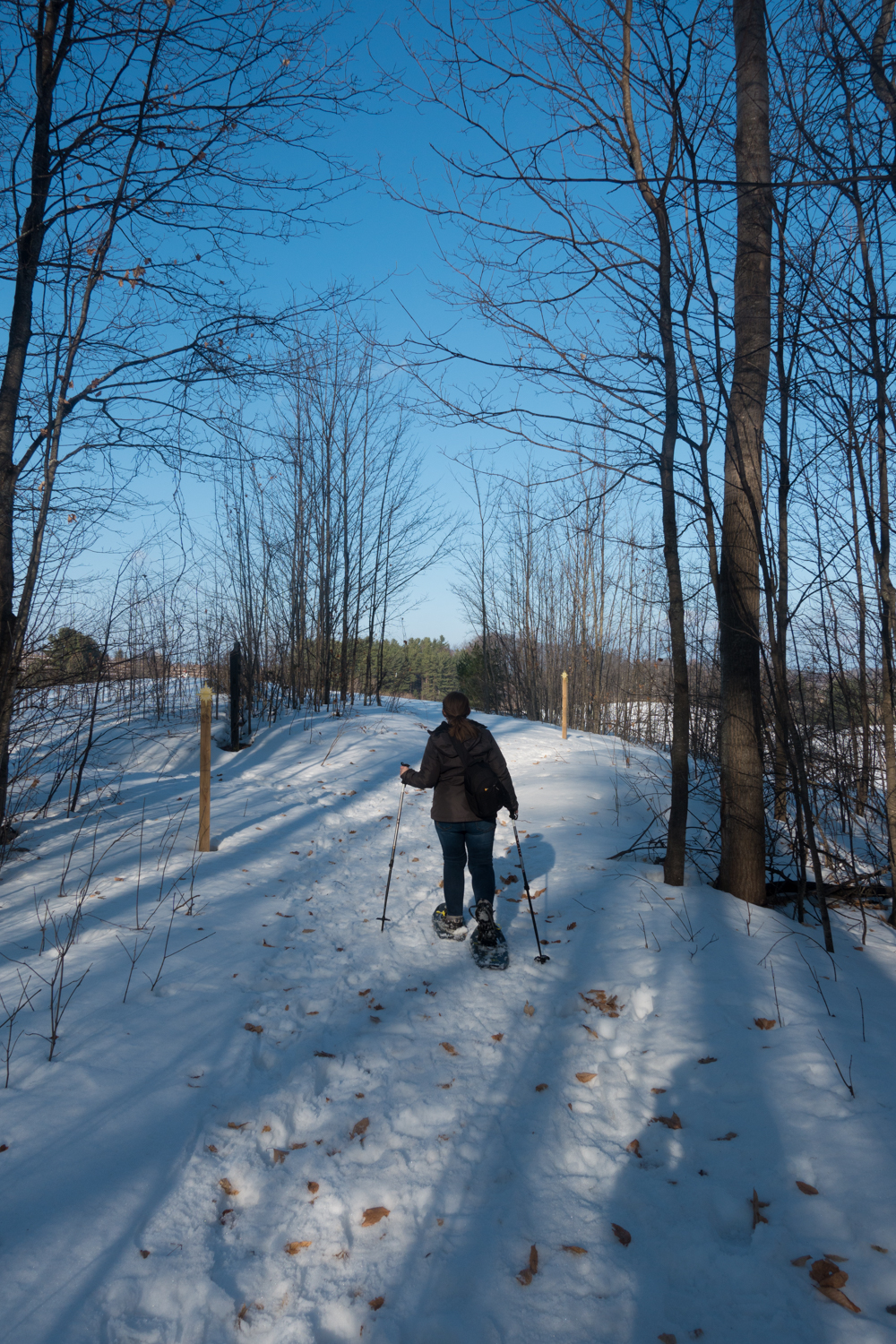 Traverse City Winter Getaway Thyme Love