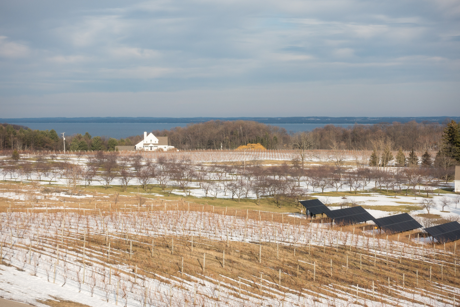 If you haven’t had the chance to experience Northern Michigan wineries, you are in for a real treat!