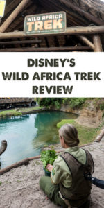 This review of Disney's Wild Africa Trek at Disney’s Animal Kingdom will show you why you should book a tour on your next Disney World Vacation! #disney #waltdisneyworld #africatrek #animalkingdom #travel #traveltips #Florida