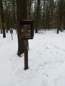 The snowshoe trails at the Muskegon Winter Sports Complex offers the most beautiful scenery in the region. For a quick hike, head over to the  Woods Loop for a quick loop around Muskegon State Park or the Lake Michigan Loop and Lost Lake Trails for spectacular views of the lake shore. The three trail systems serves all skill levels – beginner through expert.