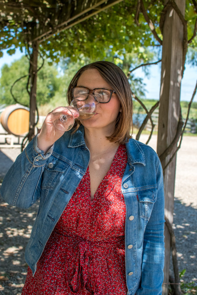 Vet du att Lake Michigan Shore Wine Trail är hemvist för 18 vingårdar som ligger längs Michigans sjöstrand? Det finns några olika vinvägar som ligger i delstaten-Traverse City är förmodligen det mest välkända området, men jag tror att Lake Michigan Shore Wine Trail är ett kommande vinområde i Mellanvästern. Den här reseguiden visar dig hur du kan besöka Lake Michigan Shore Wine Trail och varför det bör finnas med på din bucket list! #wine #winetravel #Michigan #PureMichigan #LakeMichigan 