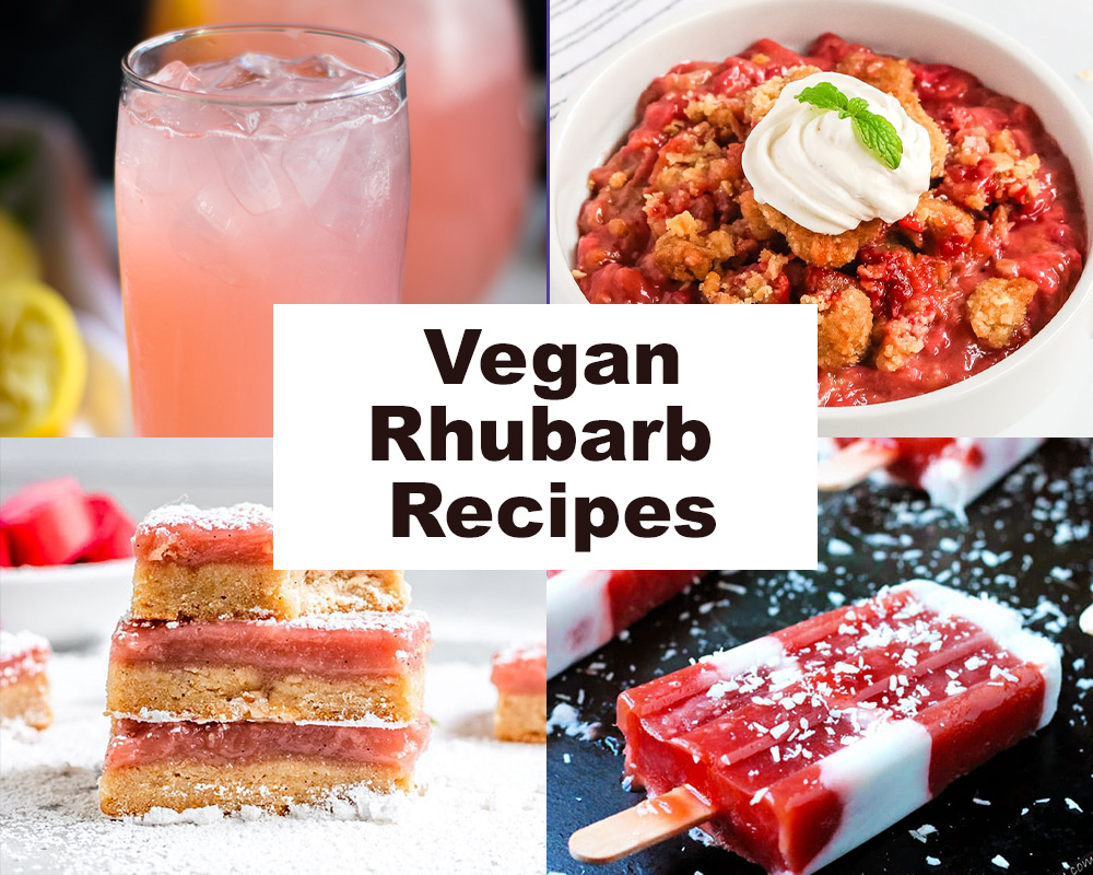 Rhubarb is one of the first signs of spring! It's tart and can be used in so many different ways from cobblers, crisps, to drinks. This recipe round-up of Vegan Rhubarb Recipes will show you how versatile rhubarb can be! #rhubarb #spring #recipes #summer #vegan #drink #dessert #breakfast 